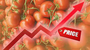 Tomato Prices दक्षिण भारत में नहीं बंद हुई बारिश तो दिल्ली और बढ़ सकता है टमाटर का भाव