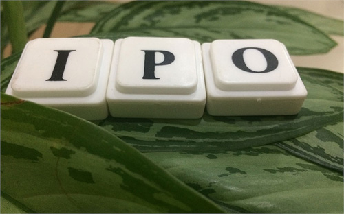 Mega IPO 2022 में आएंगे ये 4 मेगा आईपीओ