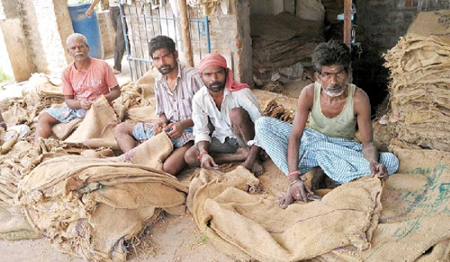 Low Production of Sacks जूट क्षेत्र को 1500 करोड़ रुपए के नुकसान का अनुमान