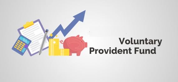 Voluntary Provident Fund