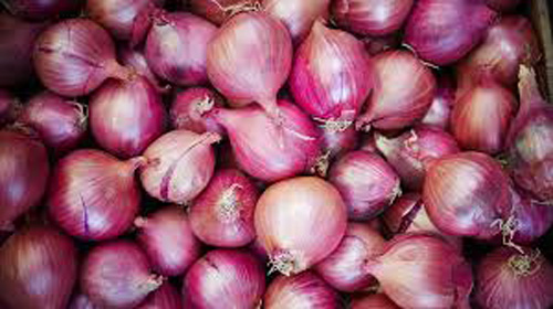 Onion Price