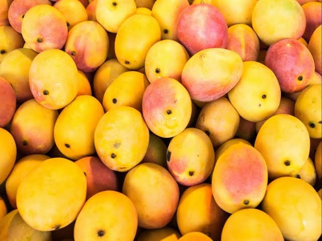 Start Export Mango भारत शुरु करने जा रहा है अमेरिका को आम व अनार का निर्यात, व्यापार नीति मंच की बैठक में लिया निर्णय