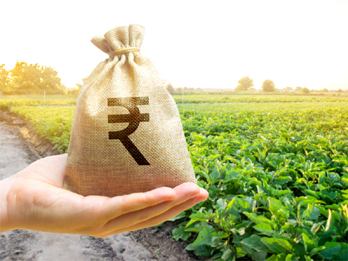 Budget For Farmers बजट में किसानों को क्या मिला, जानिए कृषि से संबंधित किए गए ऐलान