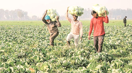 Inflation ग्रामीण क्षेत्रों में श्रमिकों के लिए बढ़ी महंगाई, ये रहा मुख्य कारण