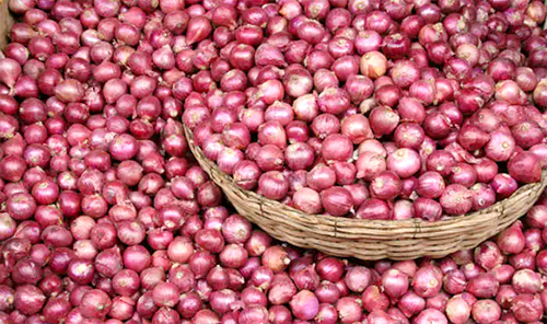 Onion Price प्याज की बढ़ती कीमतों पर लगेगी लगाम, सरकार ने उठाया ये कदम