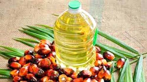 Palm Oil Price सरकार ने कच्चे पाम तेल का शुल्क घटाकर 5.5 प्रतिशत किया