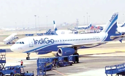 Indigo Airline