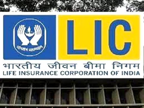 LIC policy