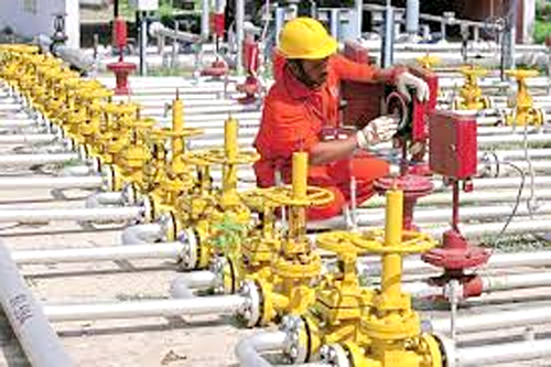 Natural Gas License : 5 राज्यों में गैस लाइसेंस लेने की होड़, 7 कंपनियों से मिली 21 बोलियां, जनता को मिलेगी प्राकृतिक गैस